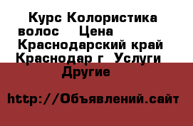 Курс Колористика волос  › Цена ­ 10 000 - Краснодарский край, Краснодар г. Услуги » Другие   